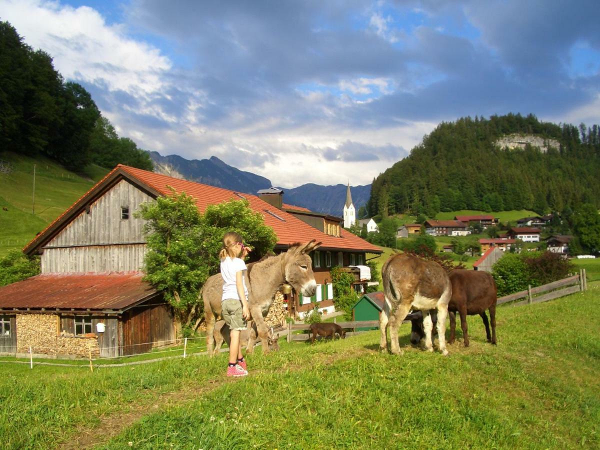Haus Willi Apartment Oberstdorf Exterior photo